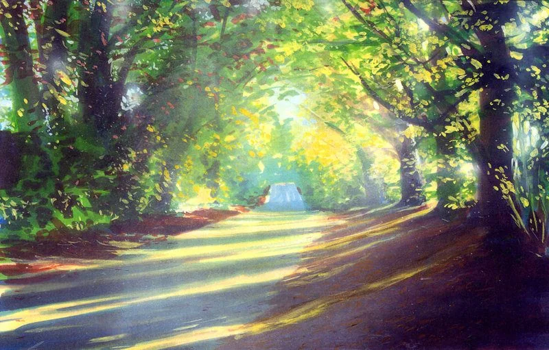 Painted tree-lined road in sunlight